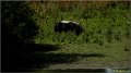 etaples110819_028 Baie de la Canche